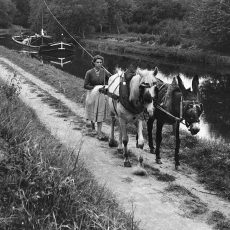 Chemin de halage. Canal du Centre