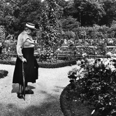 Le mois des roses à Bagatelle