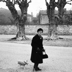 La dame au petit chien