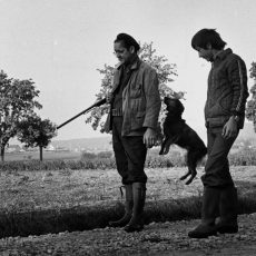 Le chasseur, son fils et leurs chiens