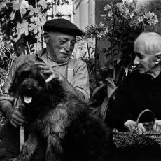 Deux amis et le chien briard