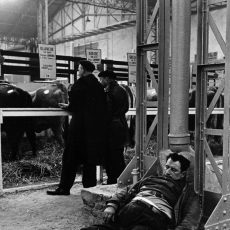 L&rsquo;homme qui dort