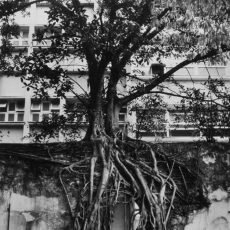Étudiants dans les jardins de l&rsquo;Université fédérale