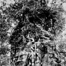 Temple dans la forêt d&rsquo;Angkor
