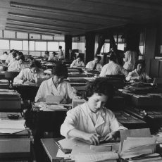 Employées de la Caisse d&rsquo;Allocations Familiales