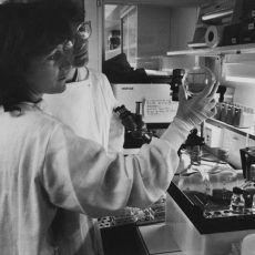 Femmes ingénieurs de recherche en génétique