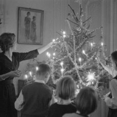 Décoration du sapin de Noël